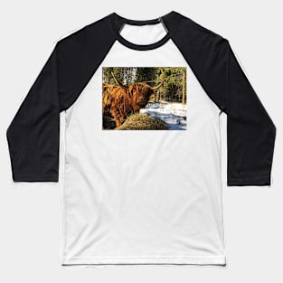 Scottish Highland Cattle Cow 2344 Baseball T-Shirt